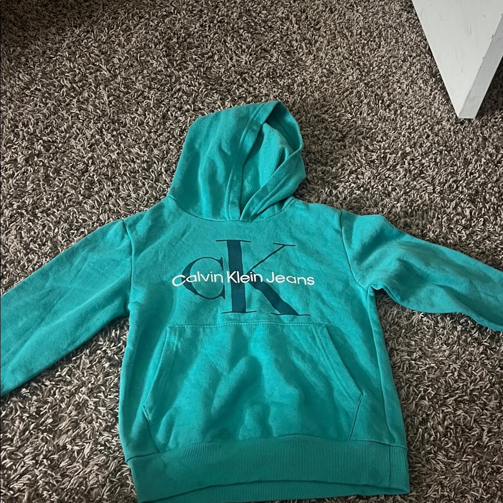 Calvin Klein Kids Aqua Hoodie